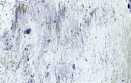 Abstract creative marble pattern texture. Traditional art of Ebru marbling