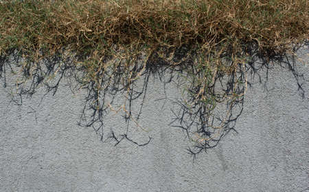 Old weathered grunge wall background texture pattern as abstract backgroundの写真素材