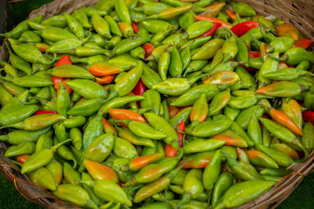 A Lot of green Peppers found as food backgroundの写真素材