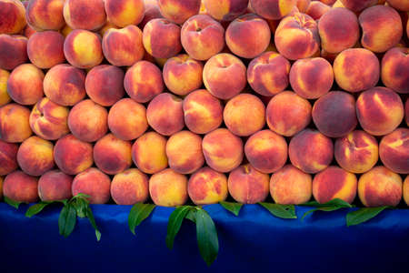 Background of peaches. Ripe and juicy peaches are sold at the farmersの写真素材