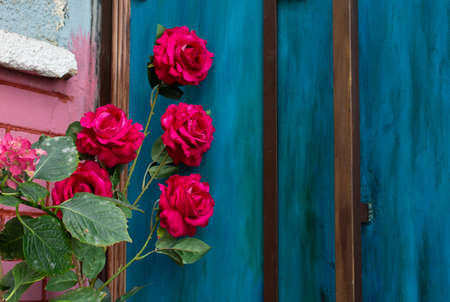 Blooming flowers make a floral background textureの写真素材