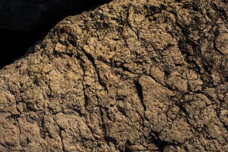 Dry fig fruit in the market in viewの写真素材