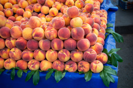 Background of peaches. Ripe and juicy peaches are sold at the farmersの写真素材