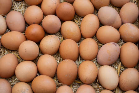 Organic fresh farm eggs at the market place