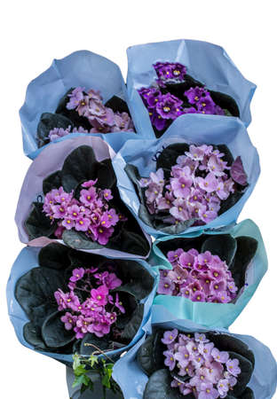 Flower background. Flowers for postcard and home decoration.  Romantic wedding or Valentine's Day...