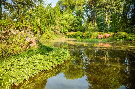 Arboretum Wojslawice, pond with lush vegetation, summer afternoon.