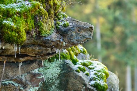 Poland, Rocks overgrown with moss, a harsh climate in winter.の写真素材