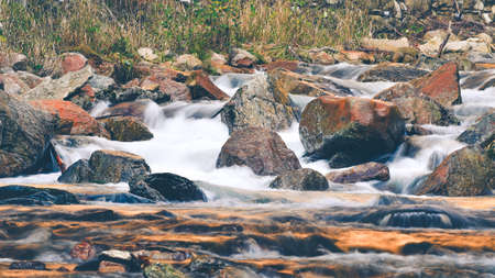 Rapid mountain river in the forest. After the rain, the river has risen and flows downhill in a...