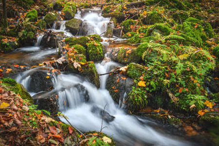 Rapid mountain river in the forest. After the rain, the river has risen and flows downhill in a...