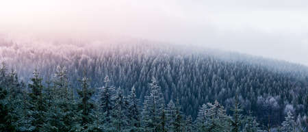 A view from the Orlica observation tower to the mountains with a snow-covered forest and an incoming...