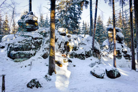 Sandstone rock formations on a hiking trail during a winter hike in the Table Mountains. The rocks are numerous throughout the forest among the trees, hidden under the white snow.の写真素材