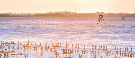 Winter landscape with the sun setting over the horizon. The sun's rays are reflected in the white snow on the field. Construction for animal observation.の写真素材