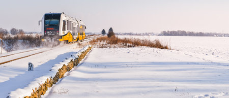 A train passing on a railroad on a winter day through a snowy landscape.のeditorial素材