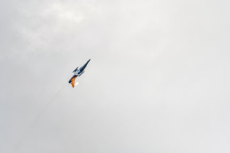 NATO DAYS, OSTRAVA, Czech republic-September, 18,2021: Aero L-159 Alca Czech Air Force at LeoÅ¡ JanÃ¡Äek Airport Ostrava. Aero L-159 Alca is a subsonic light combat aircraft and advanced trainer.のeditorial素材