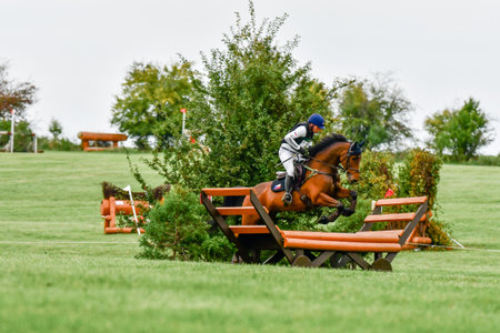 Strzegom October Festival, Morawa, Poland - October, 17, 2021: Czech competitor Miloslav Prihoda on horse Lucky Boy-S jumps through the station during the competition. Fourth place on the podium.のeditorial素材