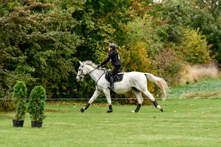 Strzegom October Festival, Morawa, Poland - October, 17, 2021: Polish competitor Julianna Jaszczuk on horse Gladiator approaches the station during the competition.のeditorial素材