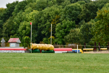 Strzegom October Festival, Morawa, Poland - October, 17, 2021: At cross country competitions, there are stations that a rider on horseback should jump over to avoid penalty points for the ride.のeditorial素材