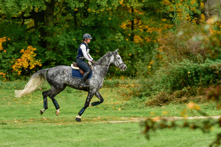 Strzegom October Festival, Morawa, Poland - October, 17, 2021: Dutchwoman competitor Lianne Chardon on horse Kerdeaux Fortuna approaches the station. She took second place on the podium.のeditorial素材