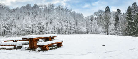 Winter landscape, snow-covered clearing with trees, a place to rest during a long hike.