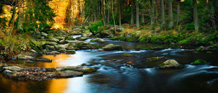The calm water flows along the rocky bed of the mountain river, the rocks covered with moss are...