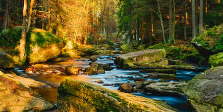 The calm water flows along the rocky bed of the mountain river, the rocks covered with moss are...