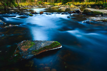 The calm water flows along the rocky bed of the mountain river, the rocks covered with moss are...