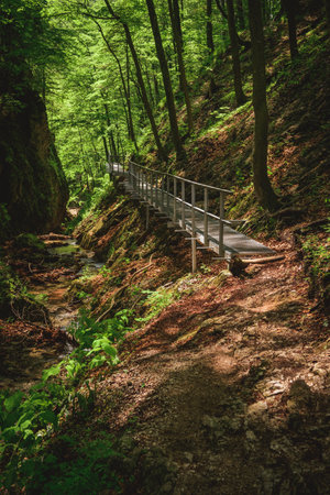 Mala Fatra National Park, a metal bridge along the gorge on a difficult section of the mountain hiking trail. Janosikove Diery, trekking on a summer sunny dayの写真素材