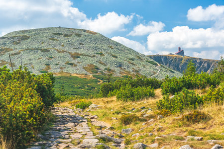 Karkonosze Mountains, Western Sudetes, mountain landscape on the hiking trail with a view of the Wielki Szyszak peak, rocky path with green alpine vegetation on a summer sunny day.の写真素材