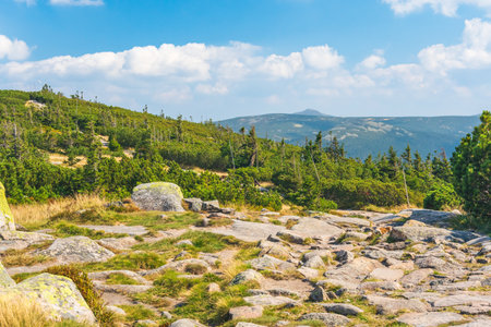 Karkonosze Mountains, Western Sudetes, mountain landscape on a hiking trail with a view from the Slaskie Kamienie peak. Rocky path, green alpine vegetation on a summer sunny day.の写真素材
