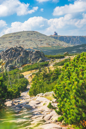 Karkonosze Mountains, Western Sudetes, mountain landscape on the hiking trail with a view of the Silesian Kamienie peak and Wielki Szyszak. Rocky path, Green alpine vegetation on a summer sunny day.の写真素材