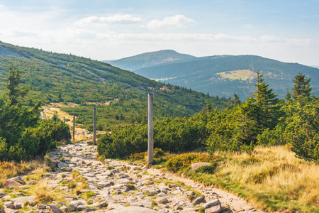 Karkonosze Mountains, Western Sudetes, mountain landscape on a hiking trail, rocky path between...