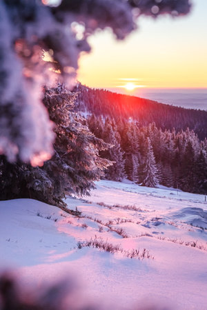 Eastern Sudetes winter landscape, view of sunset and mountain range from mountain hiking trail during winter hike, snow-covered mountainside and illuminated by red sun rays.の写真素材