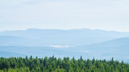 The Giant Mountains, view of the mountain range behind the green forest, mountain landscape on a bright summer day.の写真素材