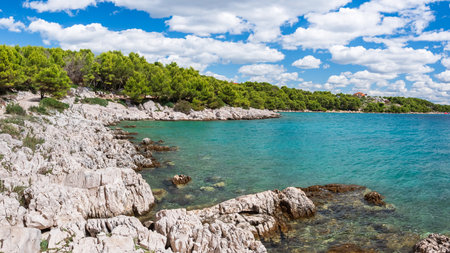 A natural rocky coastline on the shore of the sea with clear blue water. Sharp rocks protrude above the water, and green trees grow along the shore.の写真素材