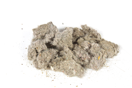 Orb dust cleaning house with vacuum cleanerの写真素材