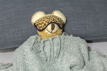 Sleeping teddy bear wrapped in a blanketの写真素材