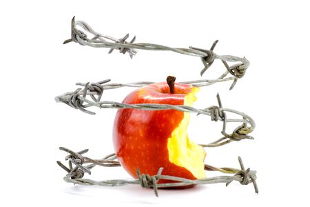 Barbed wire around a bitten red apple on a white backgroundの写真素材