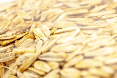 Seeds of large white roasted sunflower, packed in a transparent plastic bag. Selective focus with shallow depth of field.の写真素材