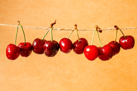 Pairs of ripe juicy cherries strung on twine string.の写真素材