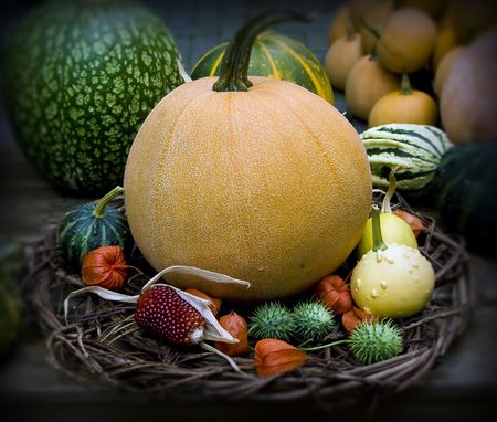 Vegetablesの写真素材