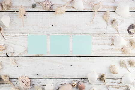 Sea Shells Background Vintage with Free Text Space, Flat Layの写真素材