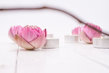 Pink Lotus Flower and Candle with A twig blur in the background