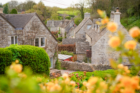 Old English Stones Cottage Village of Bisley, Yellow Flower Foreground