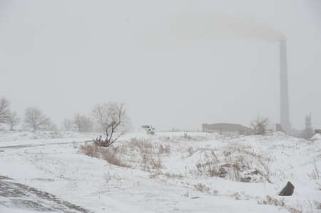road in winterの写真素材