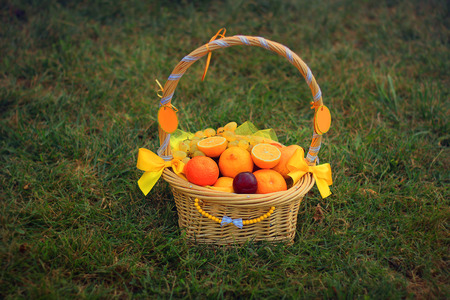 fruit basketの写真素材