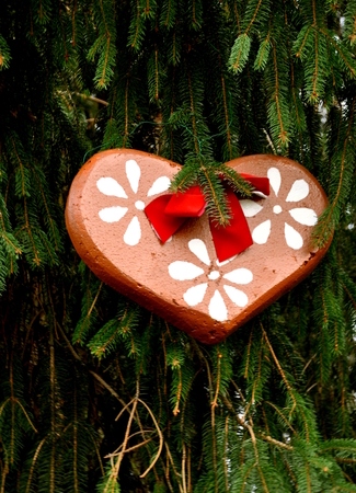 Gingerbread heart on a Christmas treeの写真素材