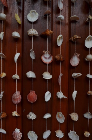 shell blindの写真素材