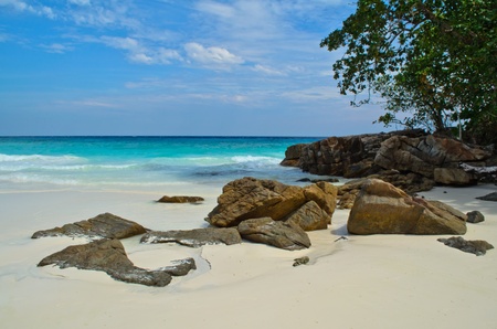 beach at tachai island in Thailandの写真素材
