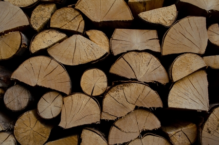 pile of firewood