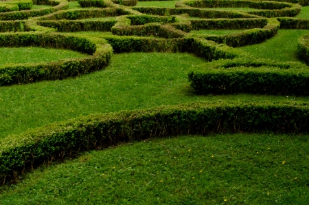 lawnの写真素材